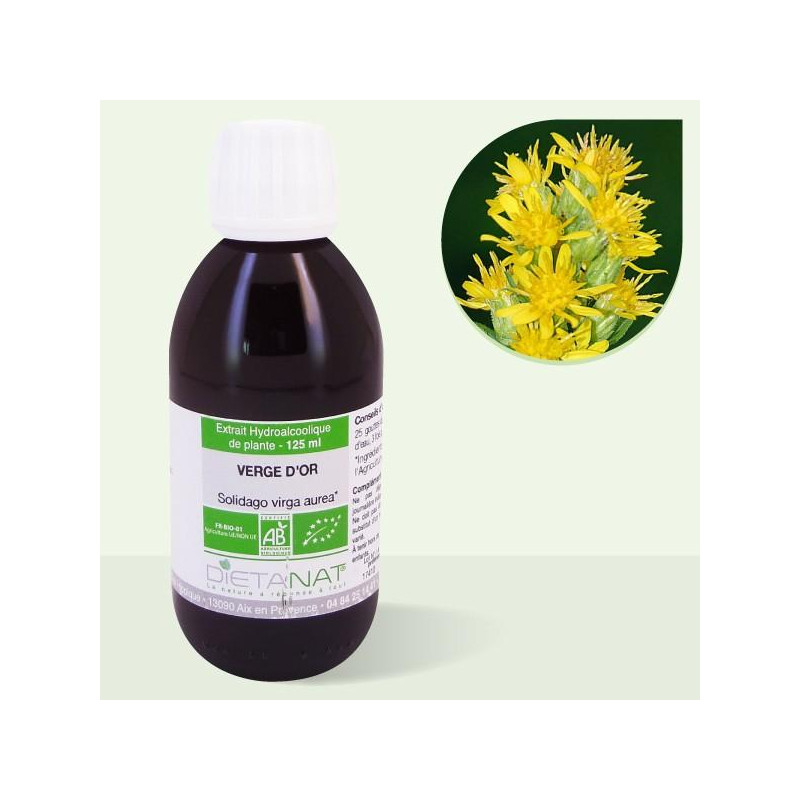 Solidago bio Verge d'Or -...