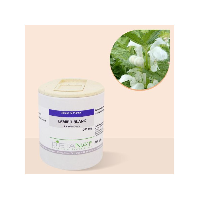 Lamier blanc Ortie blanche - 250 gélules 250mg