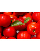 Acerola